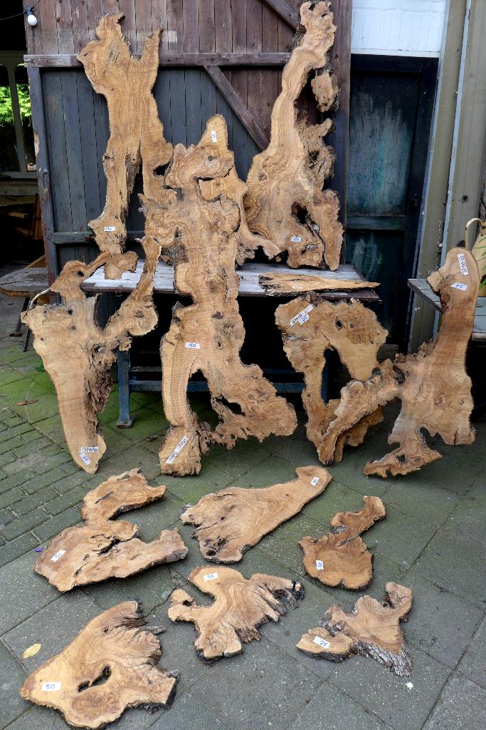 Prachtige olijf hout boom planken, Ophalen, 25 tot 50 mm, Nieuw, Plank