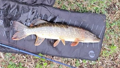 Set FL 6 van 2 snoekstreamers op Double Hook / Fleurhaak, Watersport en Boten, Ophalen, Nieuw, Complete set