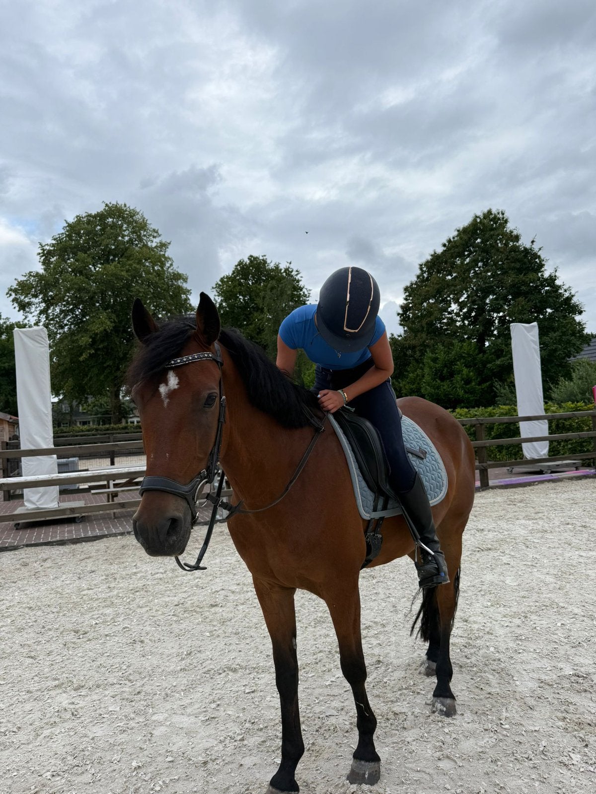 Verzorg/bijrijd/lease paard pony gezocht!, Ophalen of Verzenden