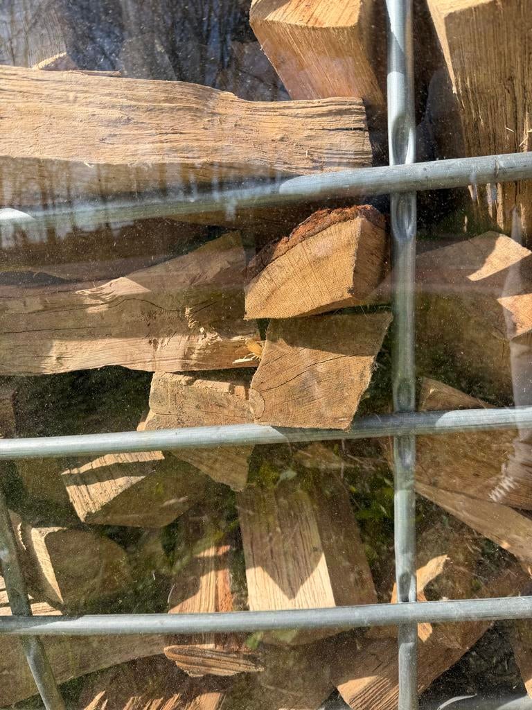 Losgestorte kuub Haardhout Mix van Eiken en Beuken, 6 m³ of meer, Ophalen of Verzenden, Beukenhout, Blokken