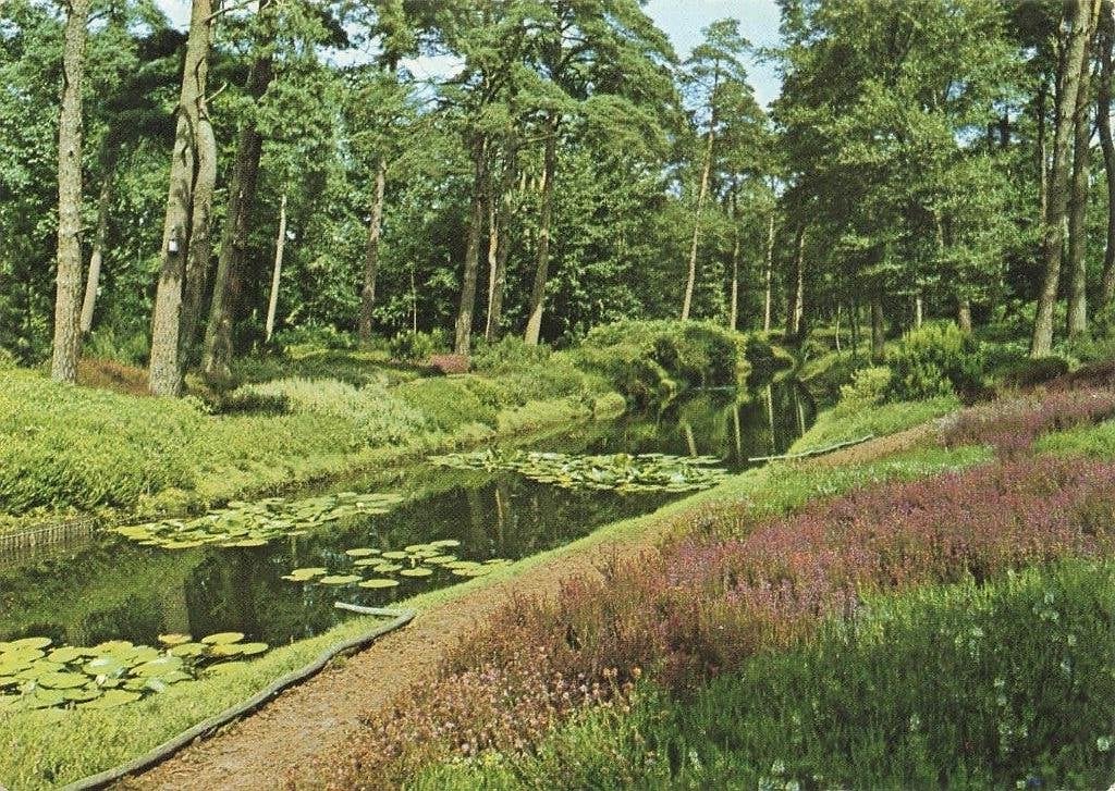 Driebergen, Heidetuin, Ophalen of Verzenden, 1960 tot 1980, Gelopen, Utrecht