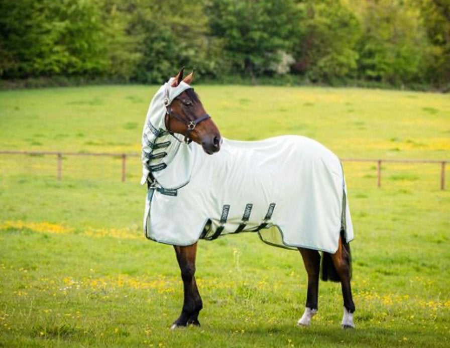 Eczeemdeken Rambo Sweet Itch Hoody Full Neck Lichtgroen, Full (L), Ophalen of Verzenden, Zo goed als nieuw, Rambo