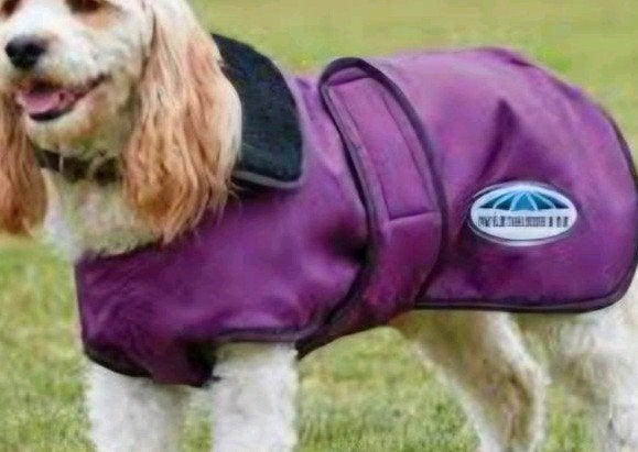 Honden regenjas, Dieren en Toebehoren, Ophalen of Verzenden, Zo goed als nieuw, Hondenjas