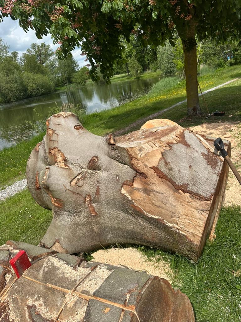 Beuken stam haardhout, Ophalen of Verzenden, Rond, Metaal