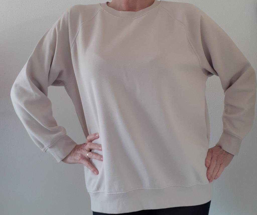 Mooie sweater large, Ophalen of Verzenden, Zo goed als nieuw, Maat 42/44 (L)