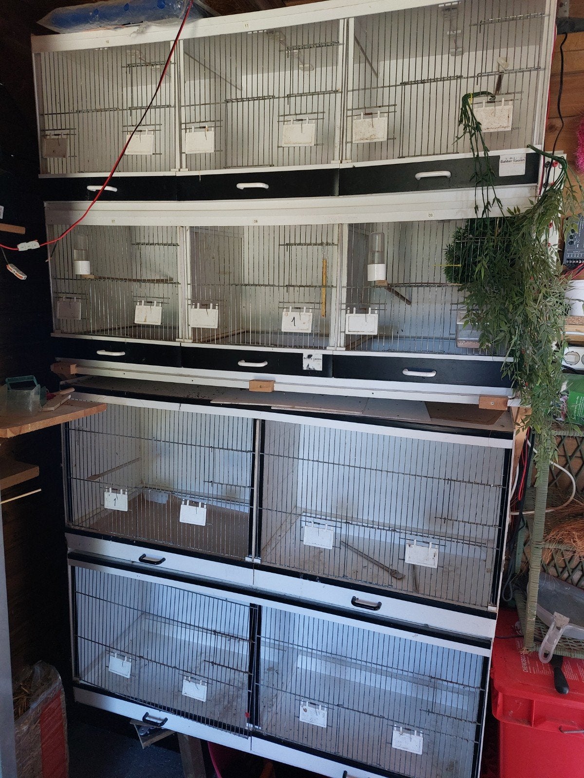 2x Bakker broedkooien 3x 40x40, Dieren en Toebehoren, Vogels | Hokken en Kooien, Ophalen, Kunststof, Broedkooi of Kweekkooi