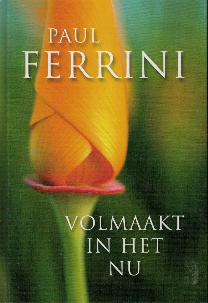 Paul Ferrini, Volmaakt in het nu., Boeken, Achtergrond en Informatie, Verzenden, Nieuw, Overige onderwerpen