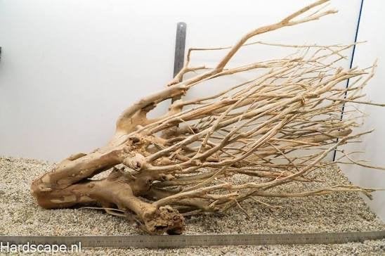 Goedkoop aquarium hout gezocht!!!, Ophalen of Verzenden, Plant(en), Steen of Hout