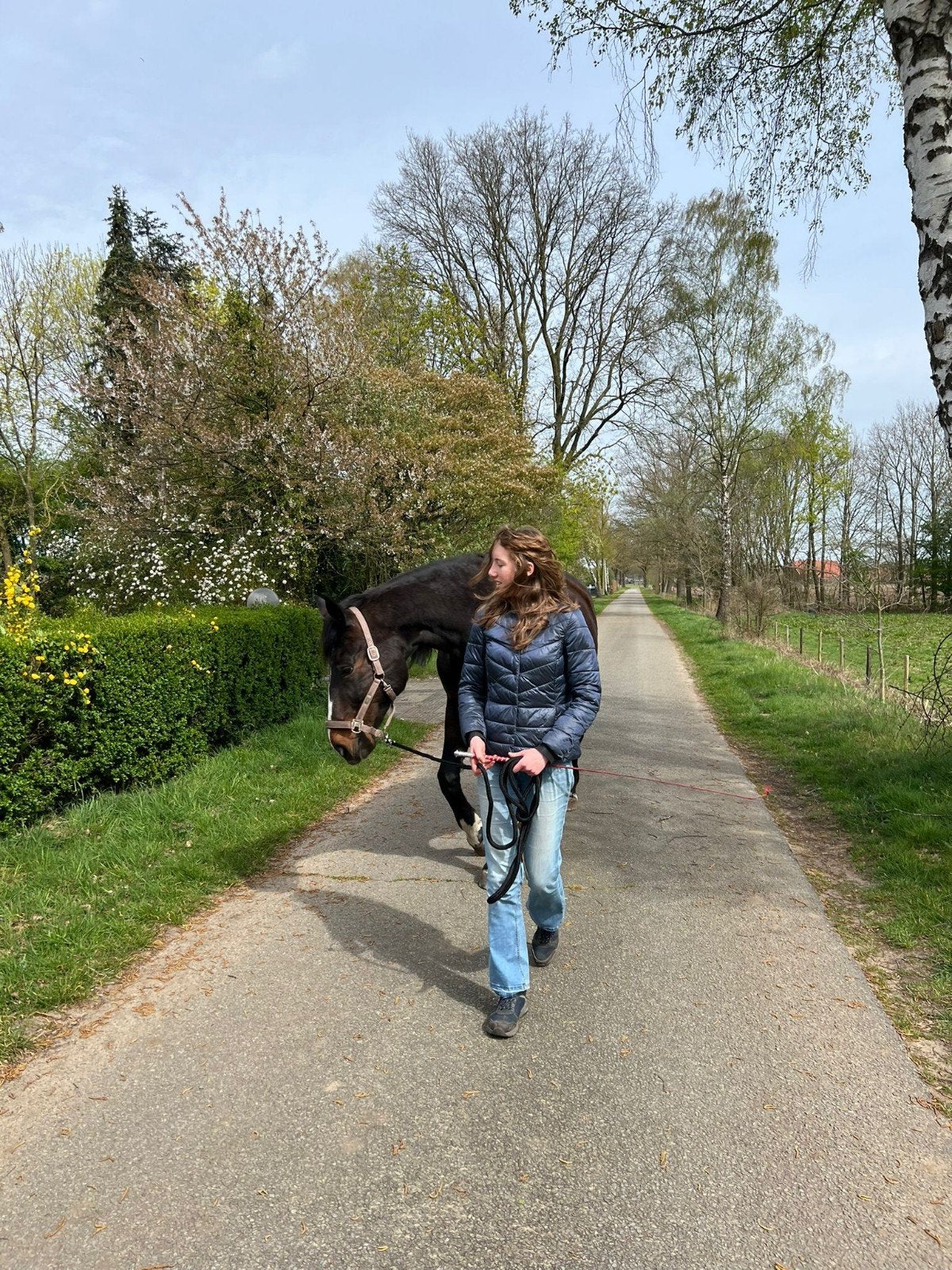 Verzorgpaard gezocht / verzorgster aangeboden DOETINCHEM, Dieren en Toebehoren, Ophalen of Verzenden