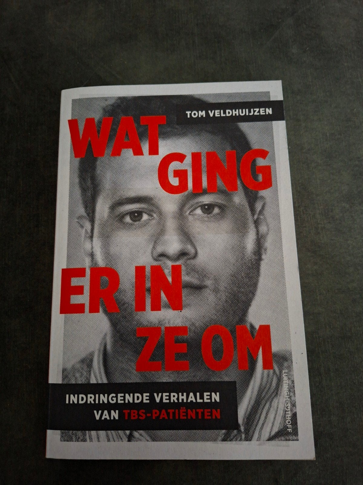 Wat ging er in ze om - Tom Veldhuijzen (TBS-patiënten), Ophalen of Verzenden