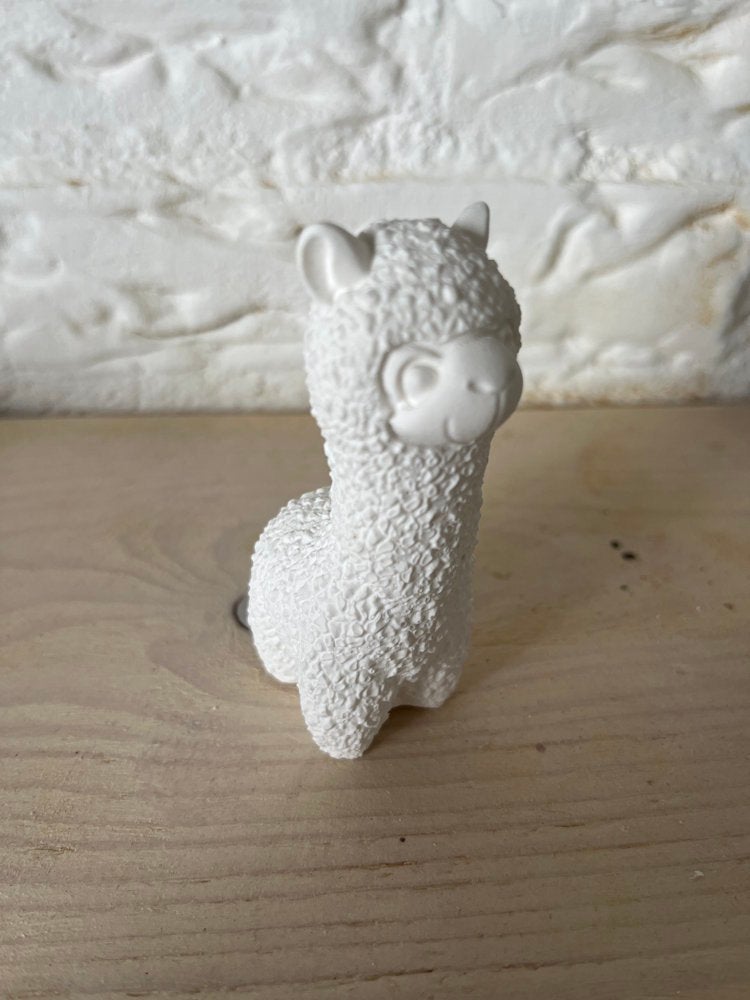 Alpaca van gips, Nieuw, Kinderworkshops Petra, Ophalen of Verzenden, Info@kinderworkshops-petra.nl