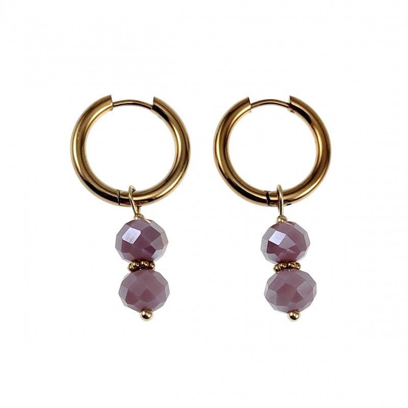 Ø18mm x 2,5mm Oorbellen Dames Verguld RVS Oorringen + Paarse, Met kristal, Overige materialen, Hangers, Birgitta-Gracht 33, 6465 EL Kerkrade, Nederland