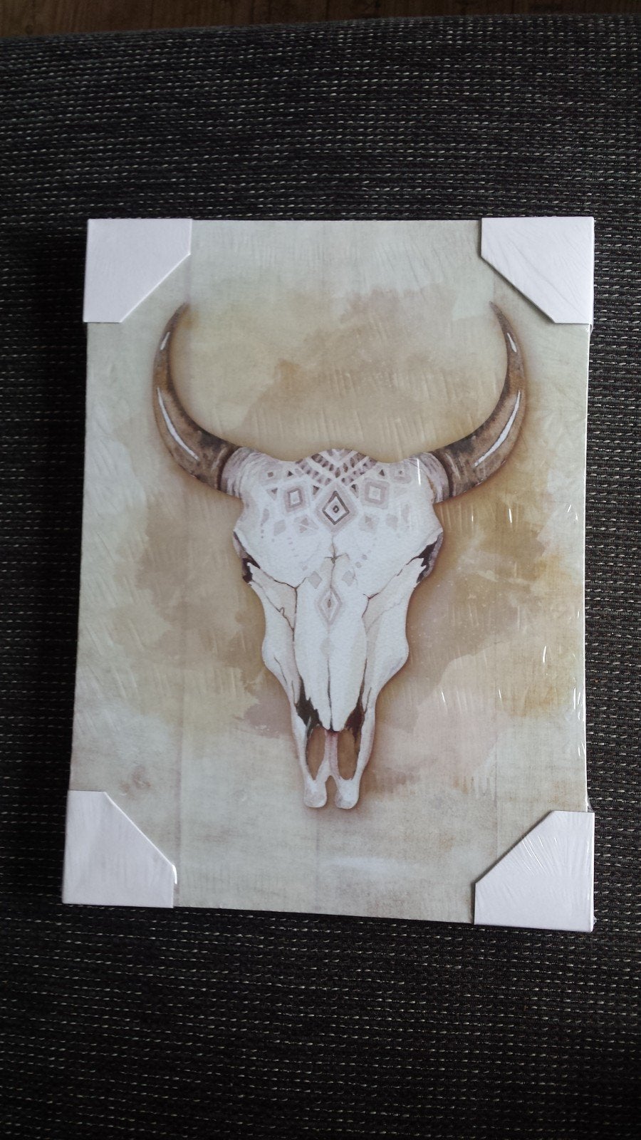 skull / schedel op canvas nieuw, Ophalen of Verzenden, Nieuw, Overige typen