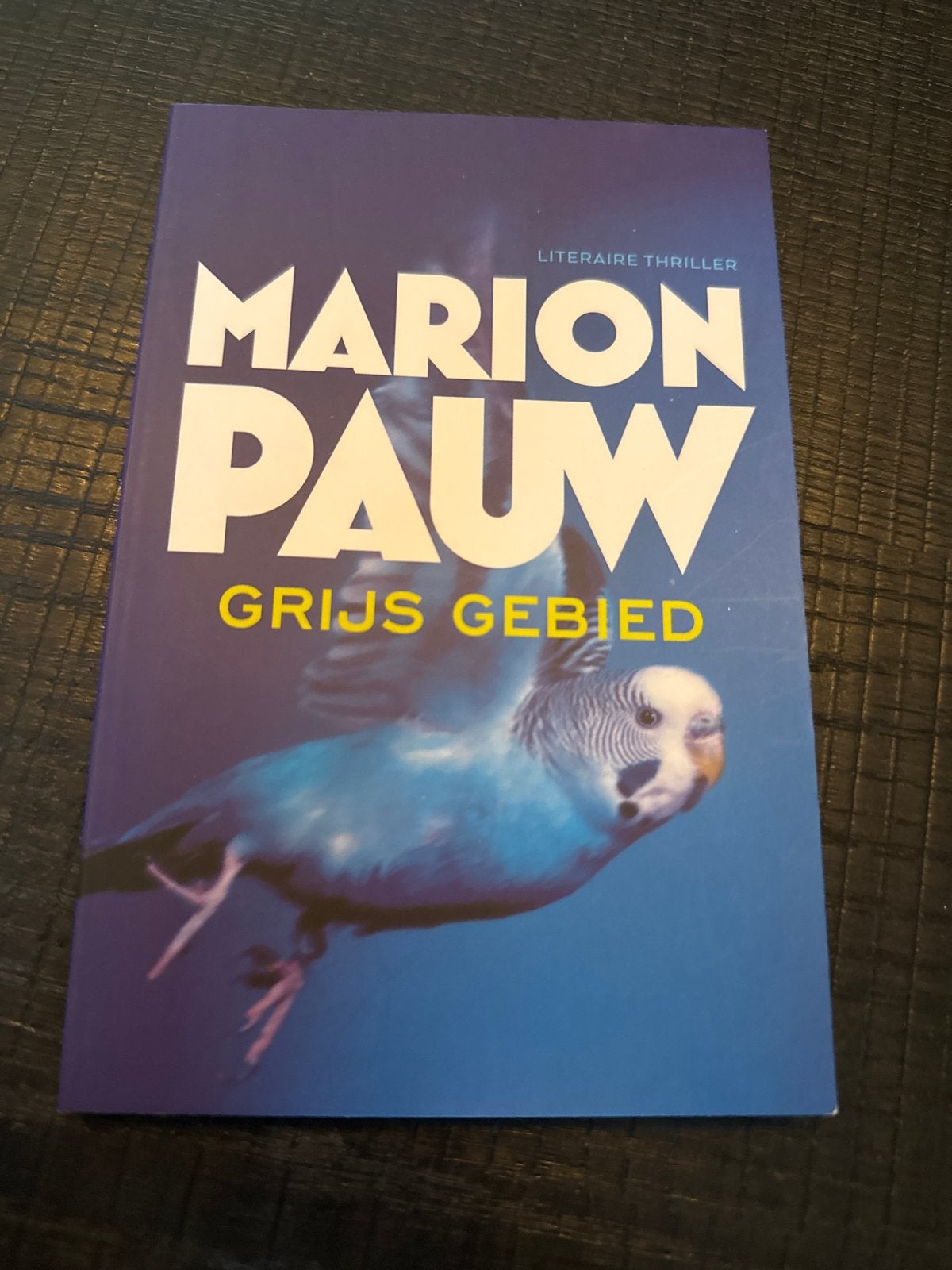 Marion Pauw - Grijs Gebied (Literaire thriller), Ophalen of Verzenden, Zo goed als nieuw