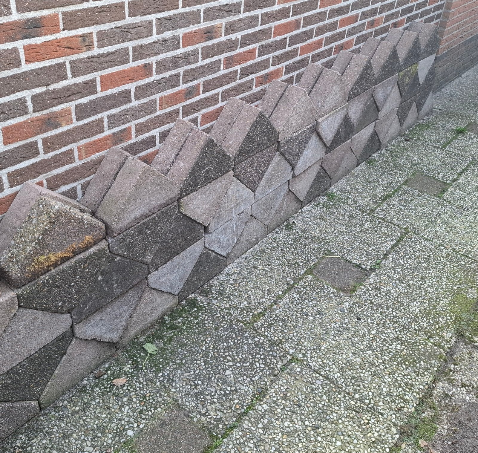 Bisschopsmuts, Ophalen of Verzenden