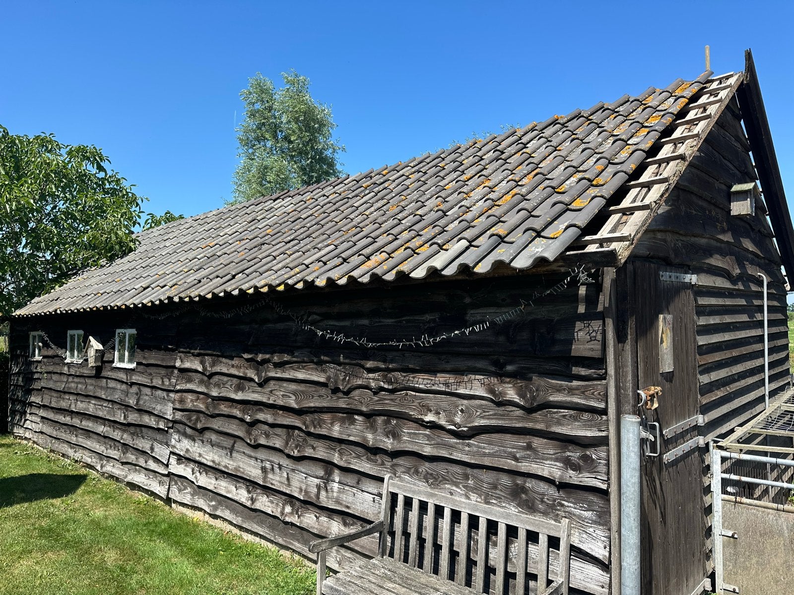 Gratis OVH dakpannen – circa 600 stuks (±42 m²), Ophalen, Gebruikt, Steen of Klei, 15 m² of meer