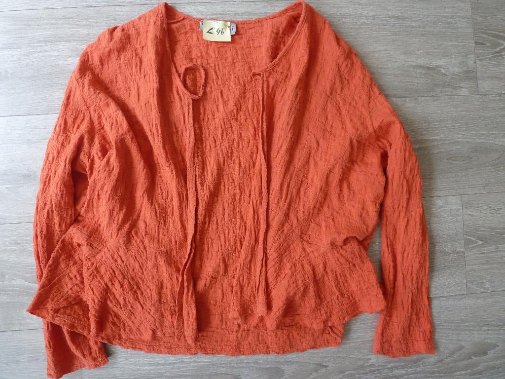 Dames vest c q blouse nr C 46, Kleding | Dames, Overige kleuren, Cincini, Maat 46/48 (XL) of groter, Ophalen of Verzenden