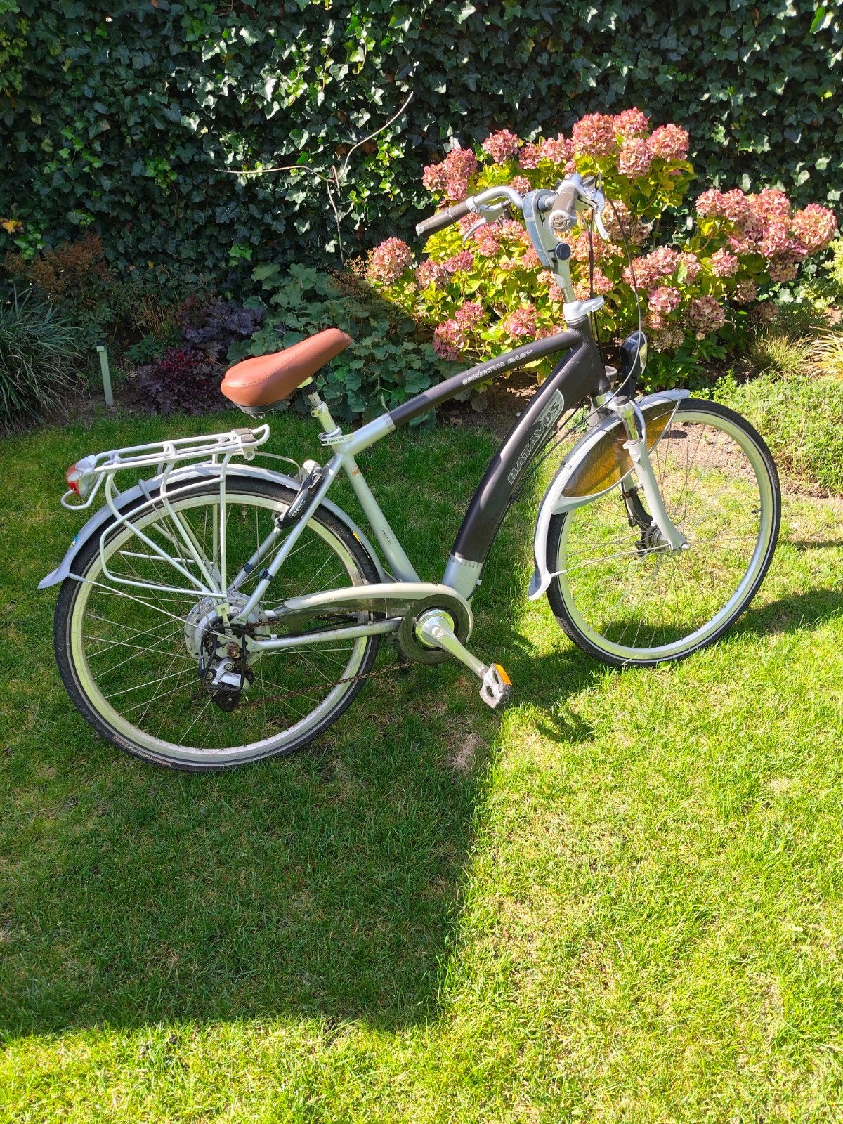 electrische fiets  accu stuk  geen display, Ophalen of Verzenden, Gebruikt, Overige merken