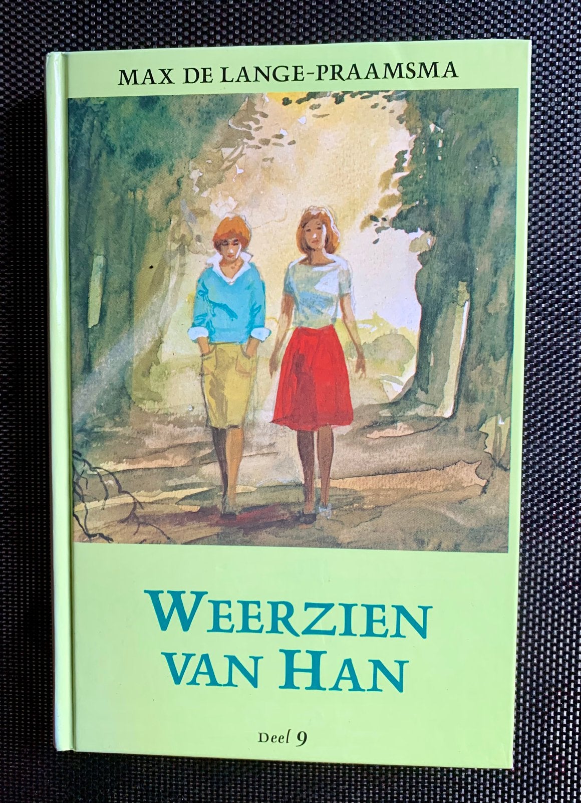 Goud-Elsje, 10 delen, Boeken, Ophalen of Verzenden, Gelezen