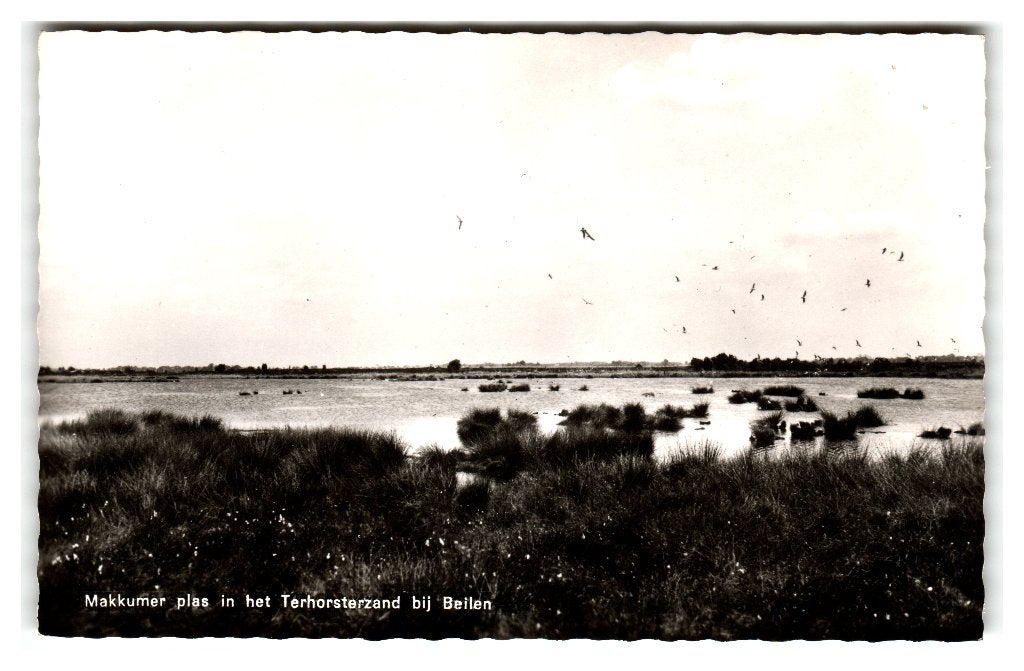 Beilen,  Makkumer plas in het Terhorsterzand bij Beilen, Verzamelen, Ansichtkaarten | Nederland, Verzenden, 1960 tot 1980, Ongelopen
