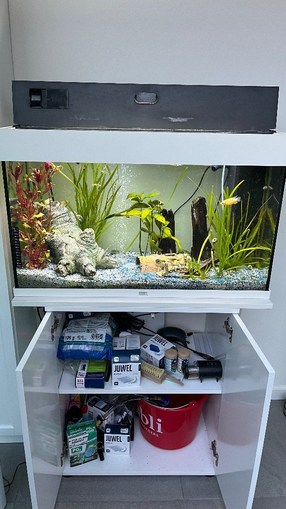 Complete Aquarium Juwel (incl. table and accesories), Ophalen, Overige typen, Inclusief vissen, Zo goed als nieuw