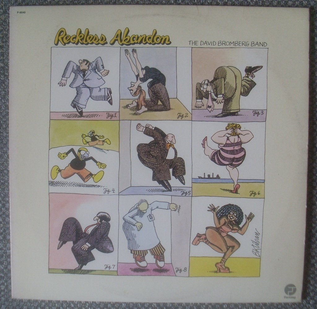 David Bromberg Band - Reckless Abandon (LP), LP, Gebruikt, Ophalen of Verzenden, 12 inch
