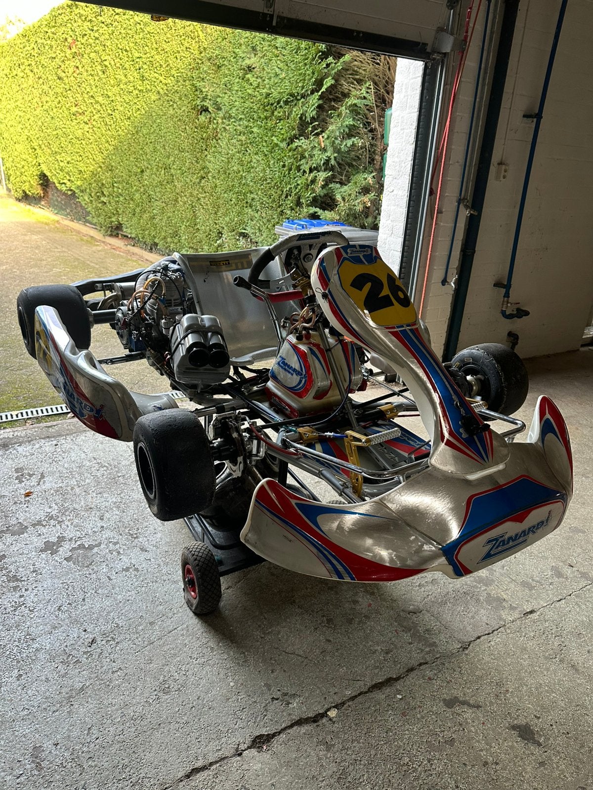 Zanardi kart 2018 175cc supershifter, Sport en Fitness, Ophalen, Gebruikt, Kart