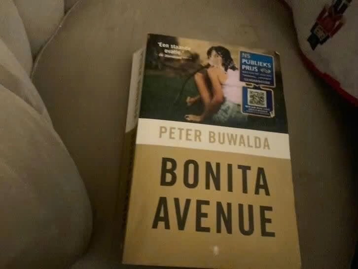 Bonita Avenue - Peter Buwalda (NS Publieksprijs), Gelezen, Ophalen of Verzenden, Nederland, Peter Buwalda