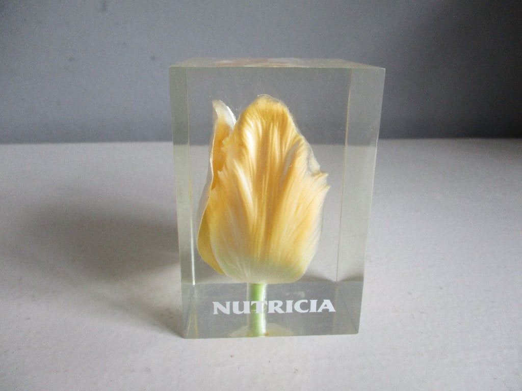Vintage Nutricia Holland Real Tulip Resin presse-papier, Ophalen of Verzenden