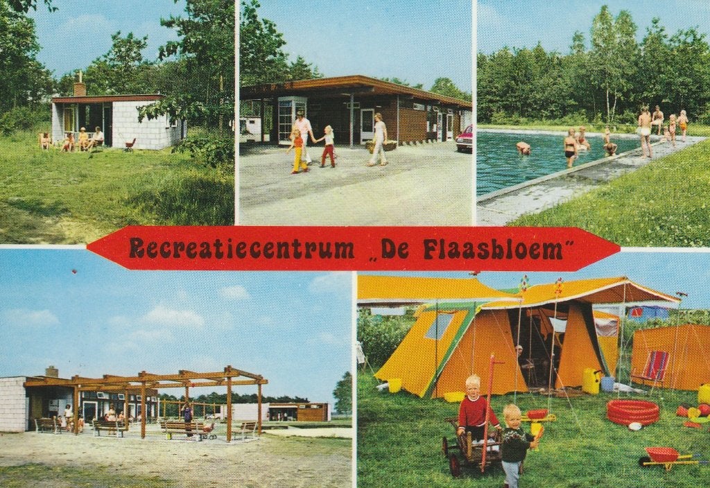 P731 oude ansichtkaart chaam de flaasbloem 1979, Ophalen of Verzenden, 1960 tot 1980, Gelopen, Noord-Brabant