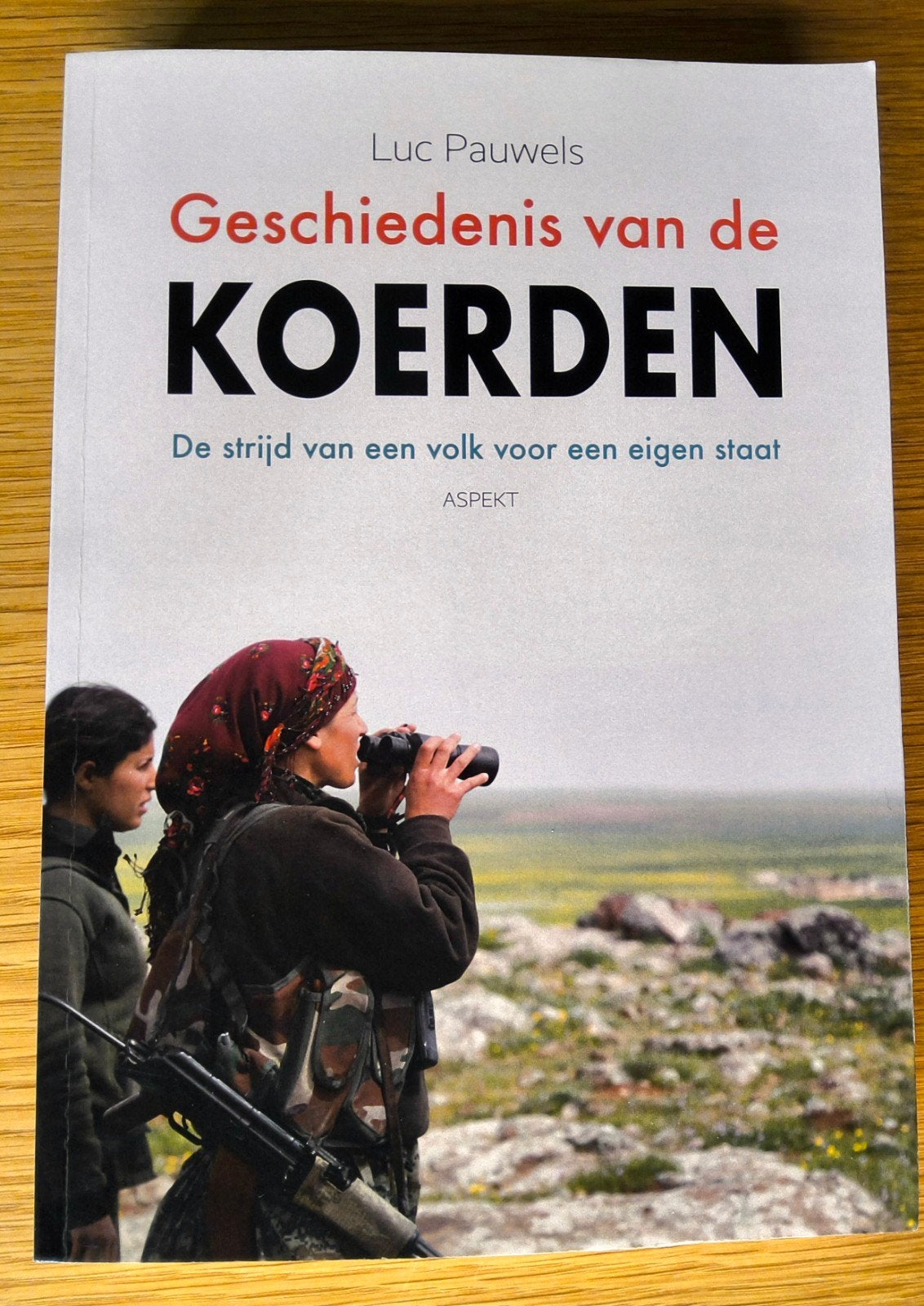 Luc Pauwels - Geschiedenis van de Koerden, Ophalen of Verzenden, Zo goed als nieuw, Luc Pauwels, Azië