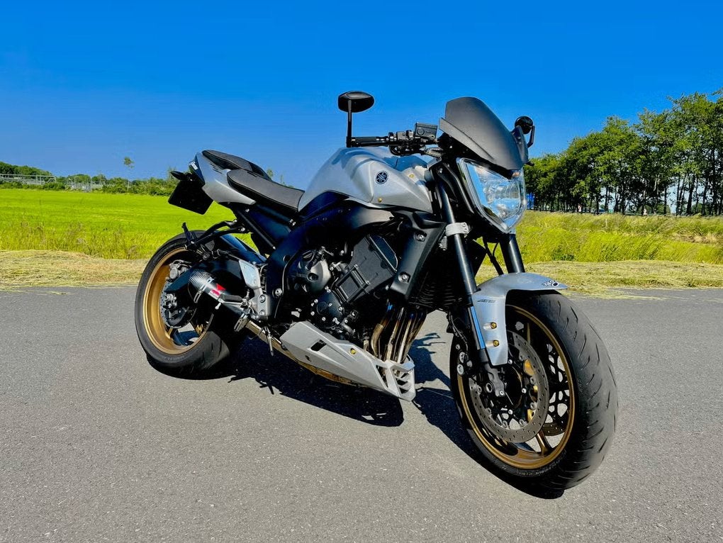 UNIEKE Yamaha FZ1n | Quickshifter | Custom uitlaat/bekleding, Occasion, 4 cilinders, Motorrijbewijs A, Particulier