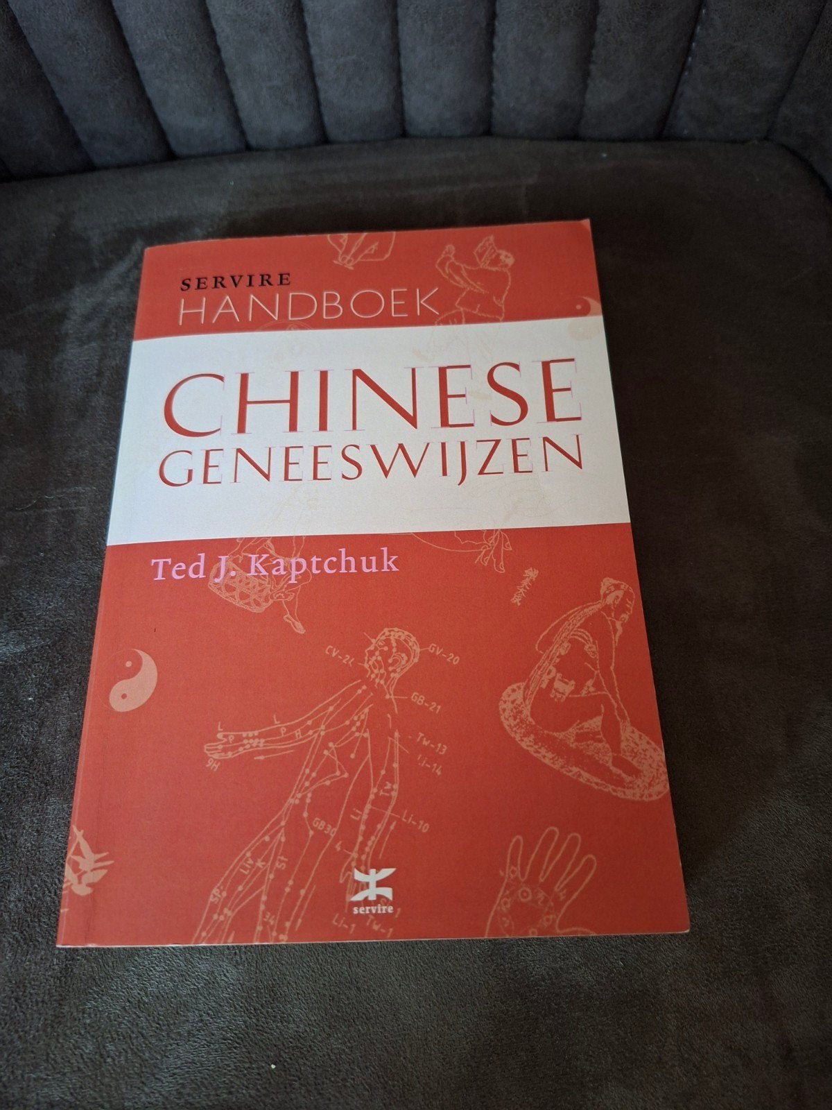 Handboek Chinese Geneeswijzen - Ted J. Kaptchuk, Boeken, Ophalen of Verzenden, Zo goed als nieuw, Kruiden en Alternatief, Ted J. Kaptchuk