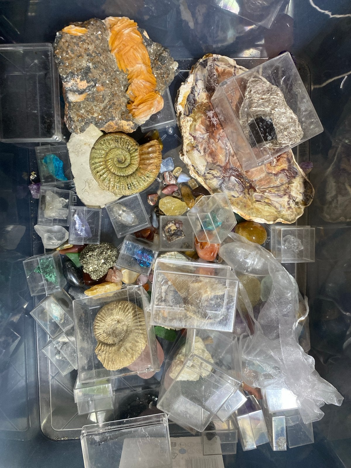 Grote verzameling fossielen, mineralen en schelpen, Verzamelen, Mineralen en Fossielen, Verzenden, Overige typen