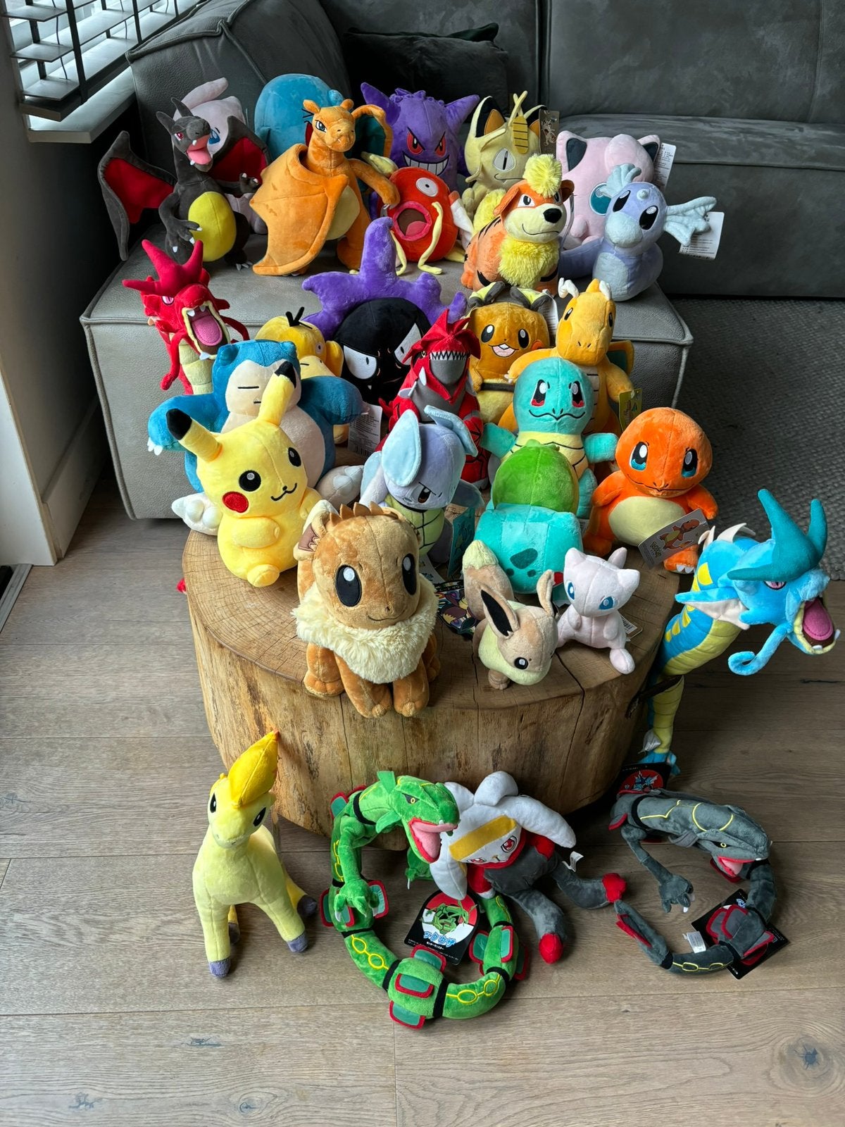 Pokemon knuffels Nieuw, Pokemon, Overige typen, Nieuw, Ophalen of Verzenden