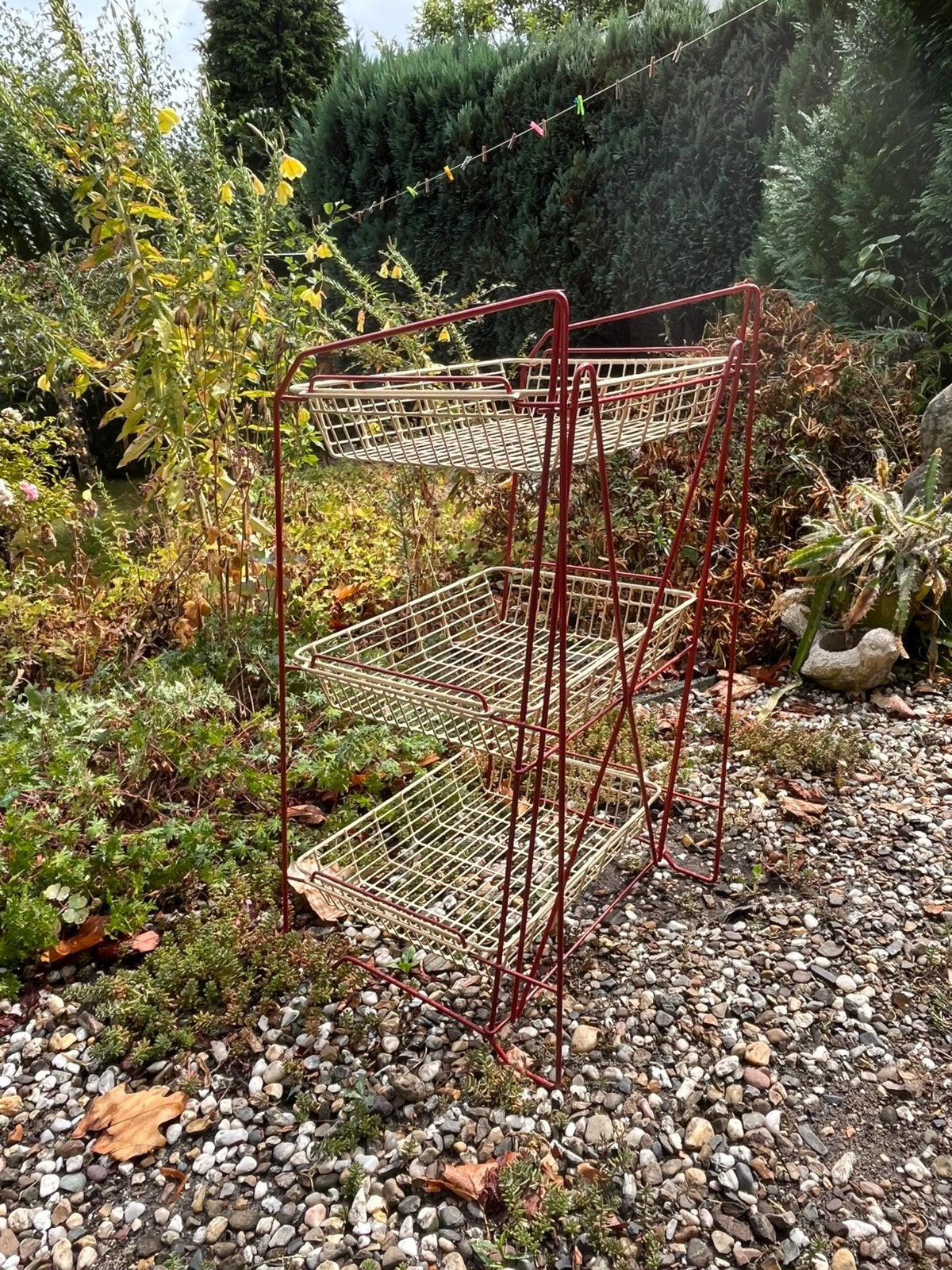 Tomadorekje, Minder dan 55 cm, Gebruikt, Ophalen of Verzenden, 60 cm of meer