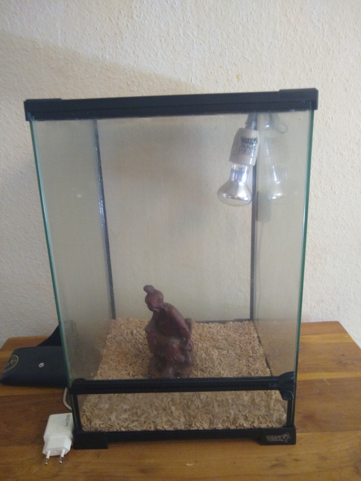 Terrarium, Dieren en Toebehoren, Reptielen en Amfibieën