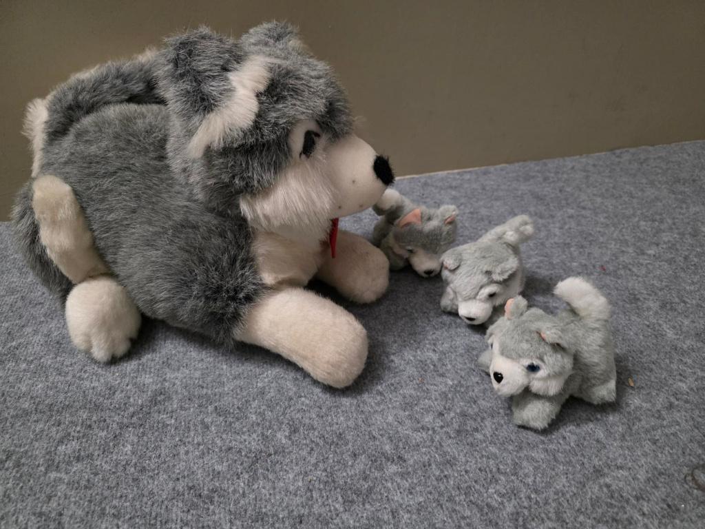 Knuffel Husky mamma met 3 kleintjes - 40 cm, Grijs, Zo goed als nieuw, Middelgroot (20 tot 80 cm), Hond