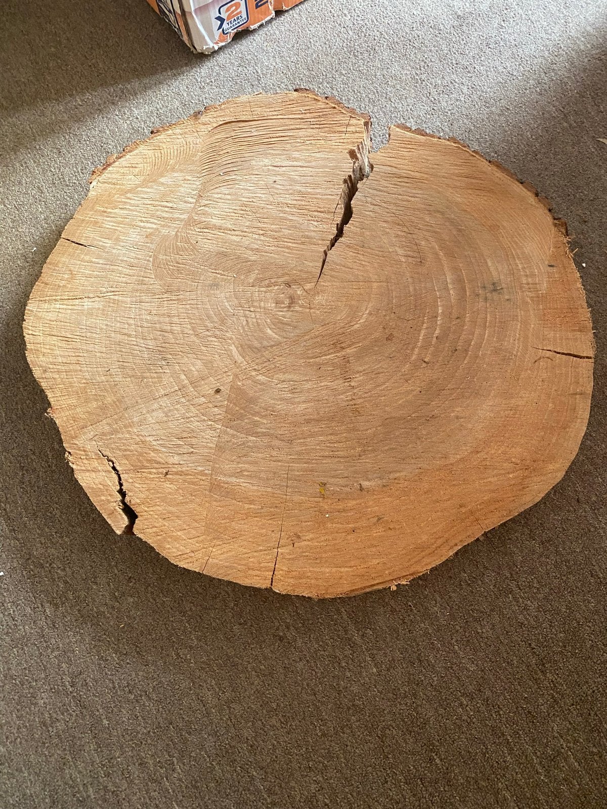 Decoratieve Houten Schijf - Eiken - 60 cm rond, Ophalen, Gebruikt, Eiken, Overige typen