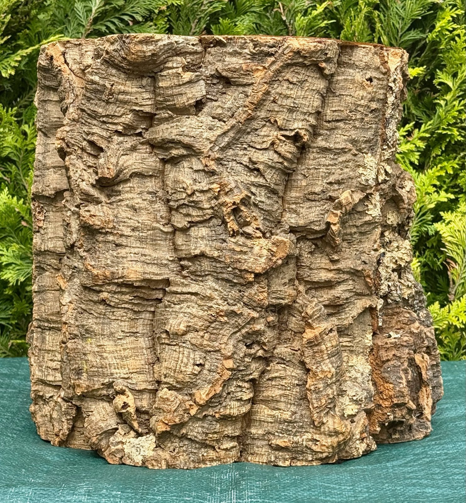 Bloempot / plantentafel / zitplaats van kurkschors, Tuin en Terras, Overige materialen, Minder dan 60 cm, Rond, Nieuw