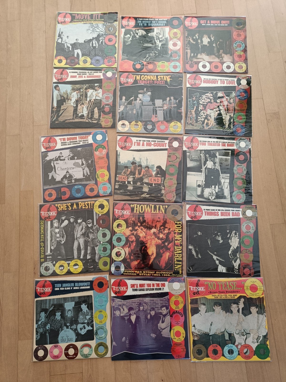 Garagerock 60s punk 15 lp's Teenage Shutdown, de hele serie!, Ophalen of Verzenden, Gebruikt, 12 inch, Psychedelic Rock