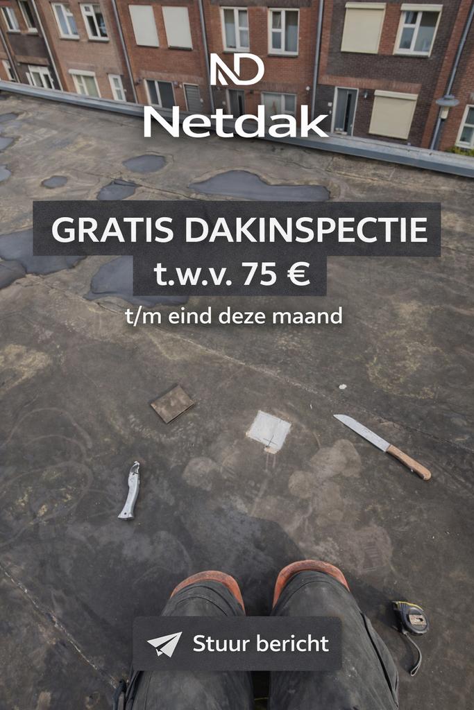Gratis dakinspectie deze maand!, Diensten en Vakmensen, Dakdekkers en Rietdekkers, Bitumineus, Kunststof, Pannen, Riet, Overige dakdekking