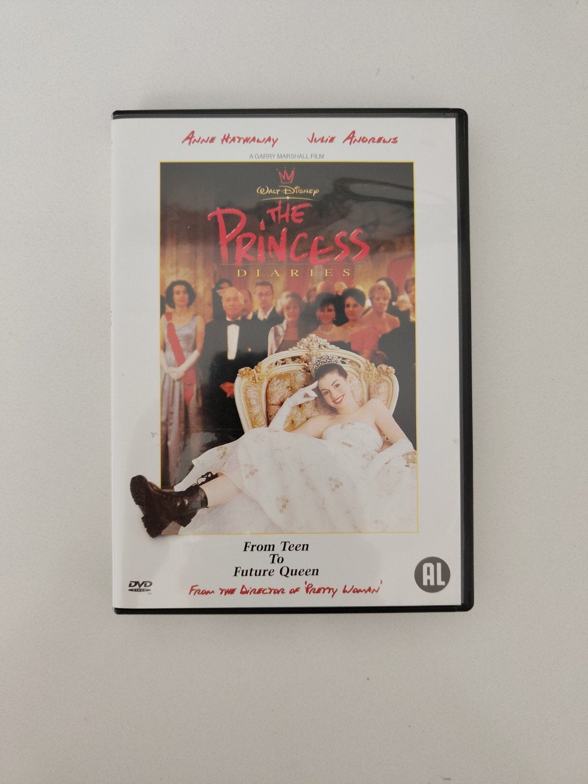 The Princess Diaries DVD - Disney film met Anne Hathaway, Ophalen of Verzenden