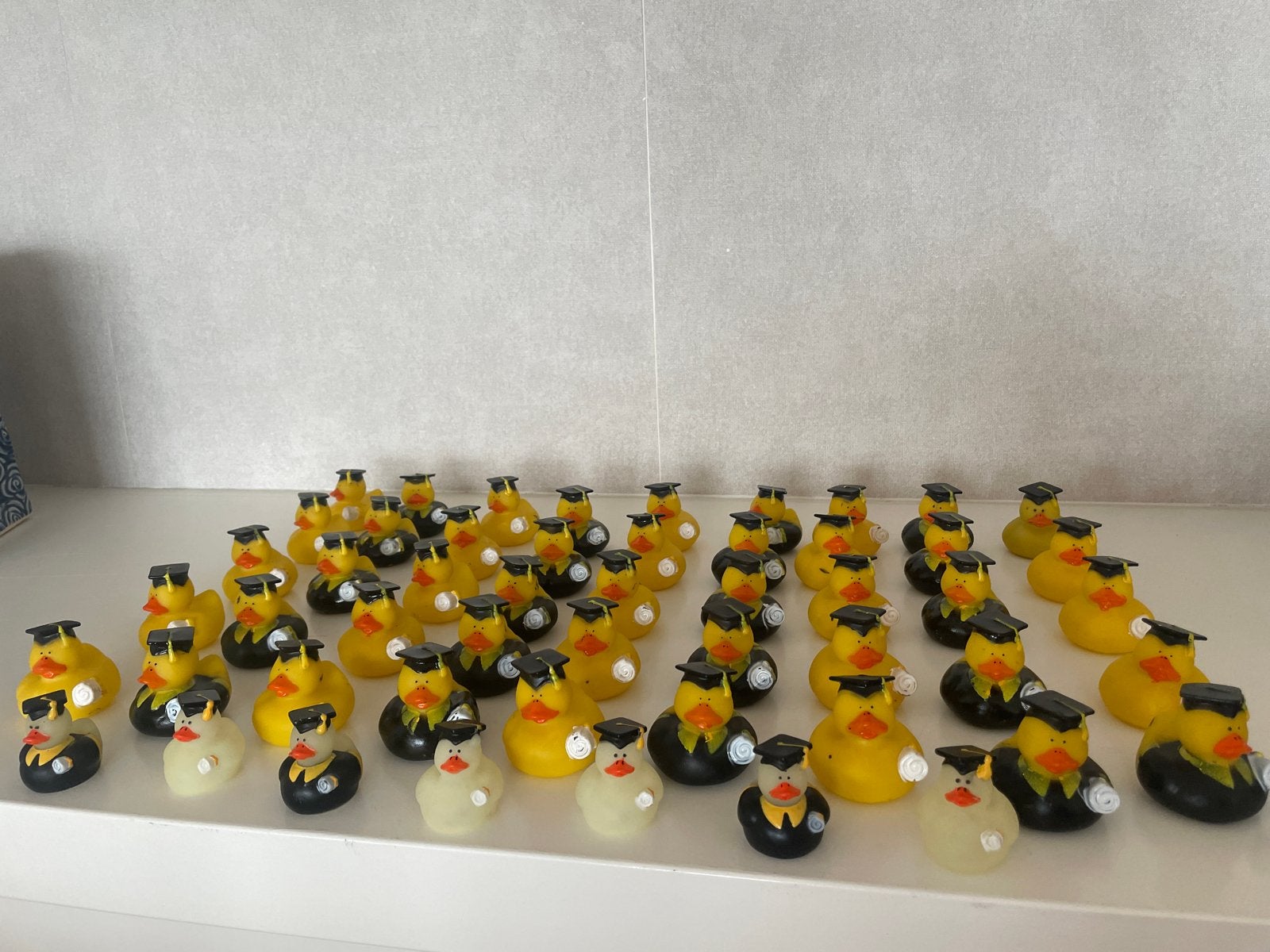 Badeend partij afstudeer badeendjes - 50 stuks, Ophalen of Verzenden, Nieuw