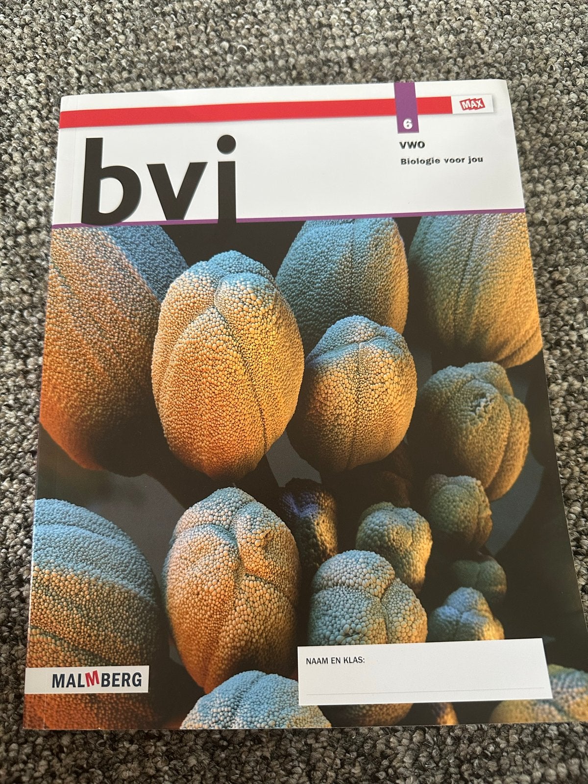 BVJ Biologie voor jou 6 VWO - Malmberg, Boeken, Ophalen of Verzenden, Zo goed als nieuw, VWO, Biologie