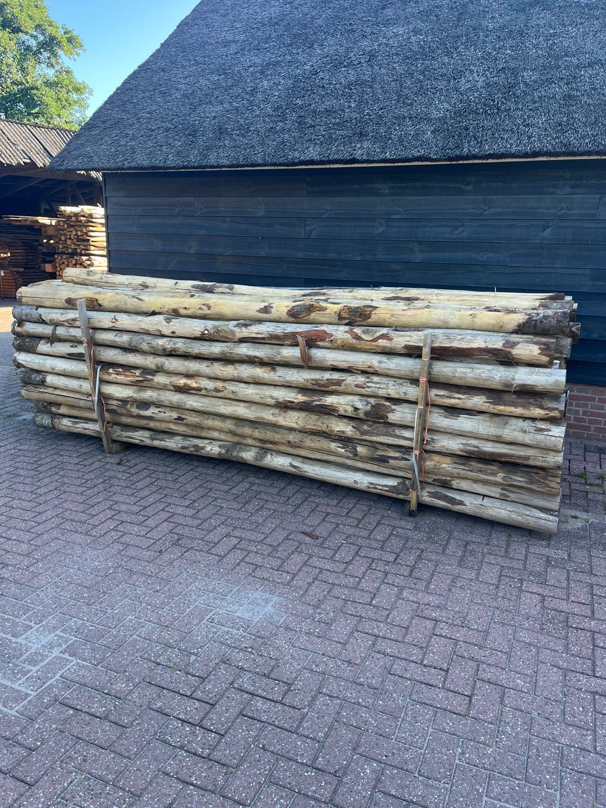 Kastanje palen afrastering schutting zonne/schaduwdoek, Ophalen of Verzenden, Nieuw, Palen