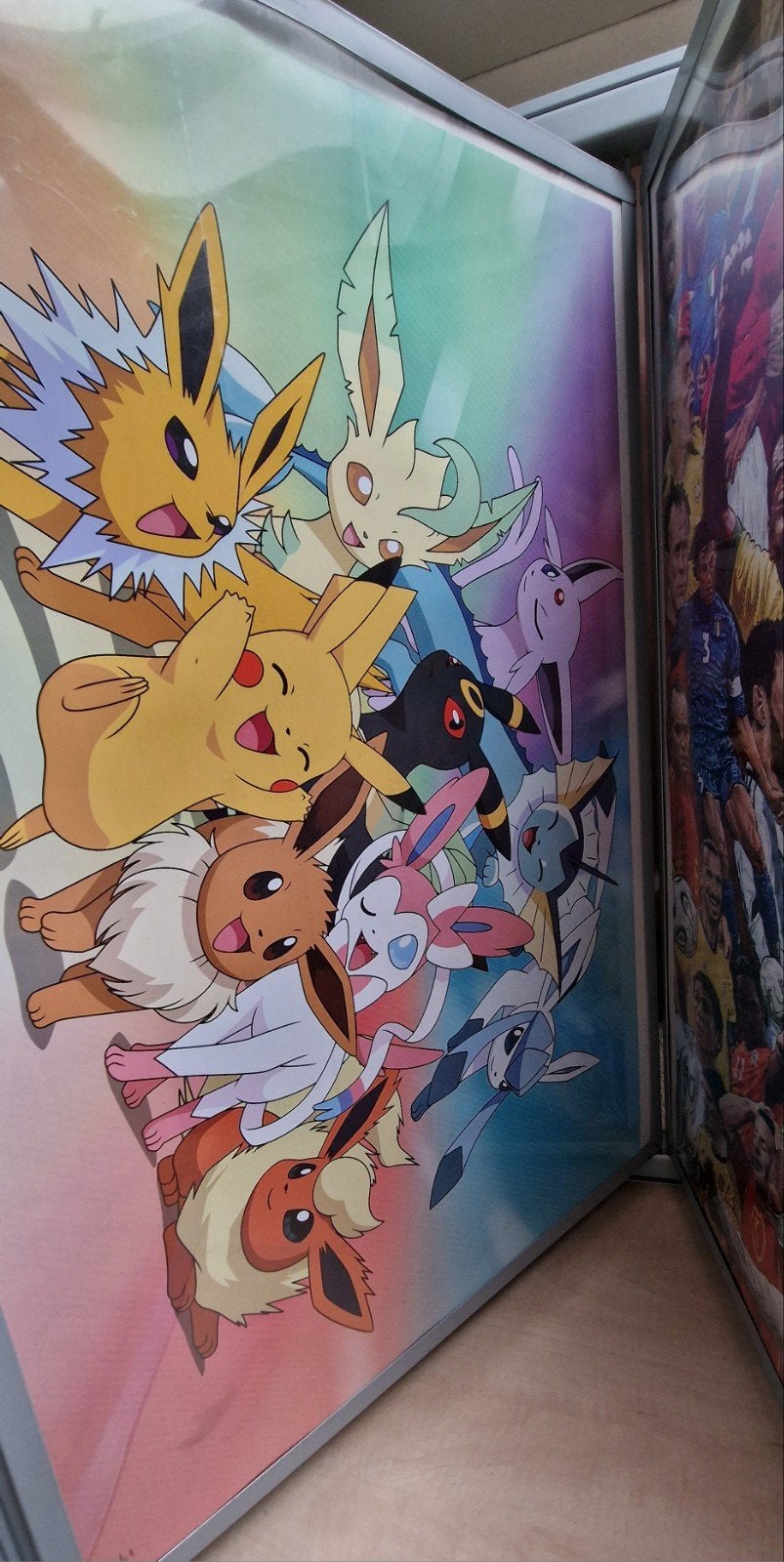 Pokémon Eevee Evoluties Poster - Pikachu & Vrienden, Ophalen of Verzenden, Zo goed als nieuw, Overige typen