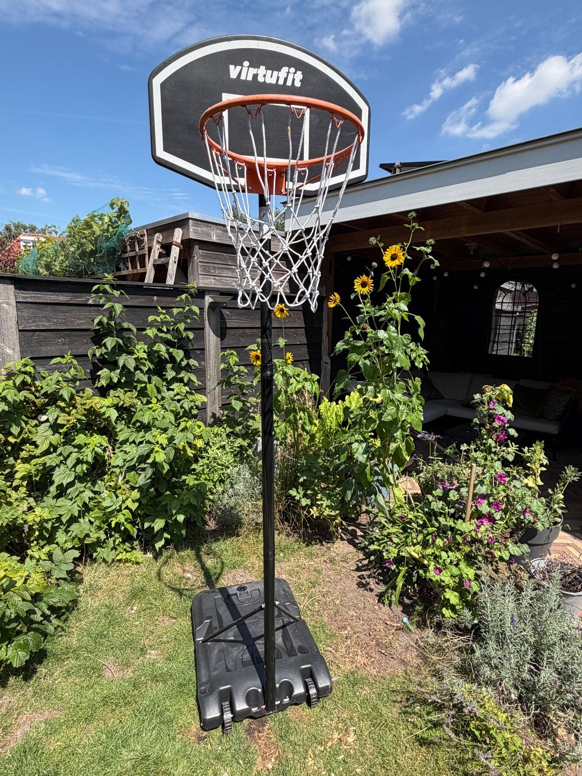 VirtuFit Verstelbare Basketbalpaal, Ophalen of Verzenden, Zo goed als nieuw, Ring, Bord of Paal