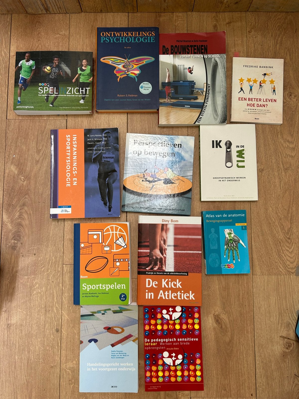 ALO Amsterdam studie boeken, Boeken, Schoolboeken, Ophalen of Verzenden, Zo goed als nieuw, Overige niveaus, Nederlands