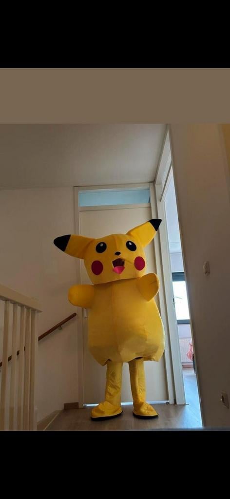 Pikachu mascotte pak - Te huur of te koop (150-175 cm), Ophalen of Verzenden, Gebruikt, Pak of Jurk